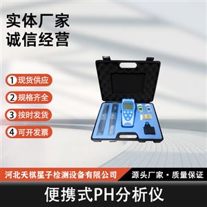 便携式 PH 分析仪