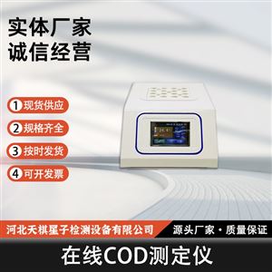 TD1377-B型在线 COD 测定仪
