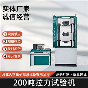 TD2611-200L型200 吨拉力试验机
